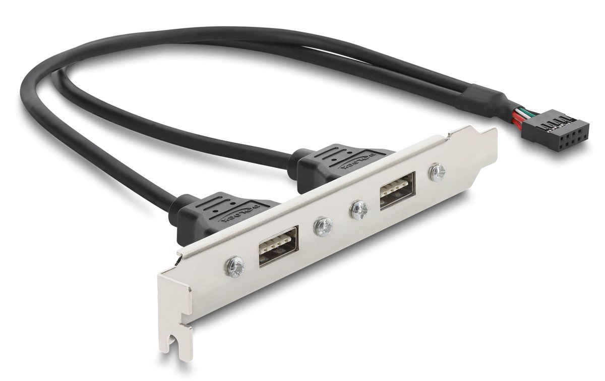 DELOCK κάρτα επέκτασης USB 9pin σε 2x USB 2.0 91800, 480Mbps