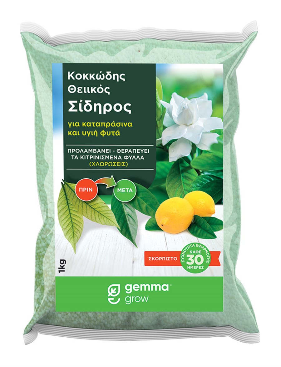 Θειικός σίδηρος Kοκκώδης 1kg