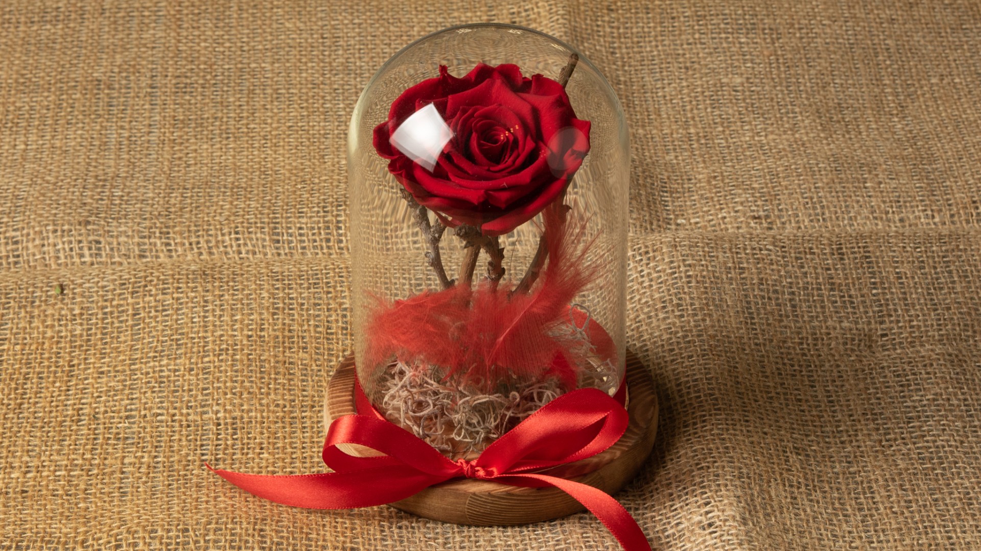 Forever Rose Κόκκινο σε γυάλινη καμπάνα 15cm