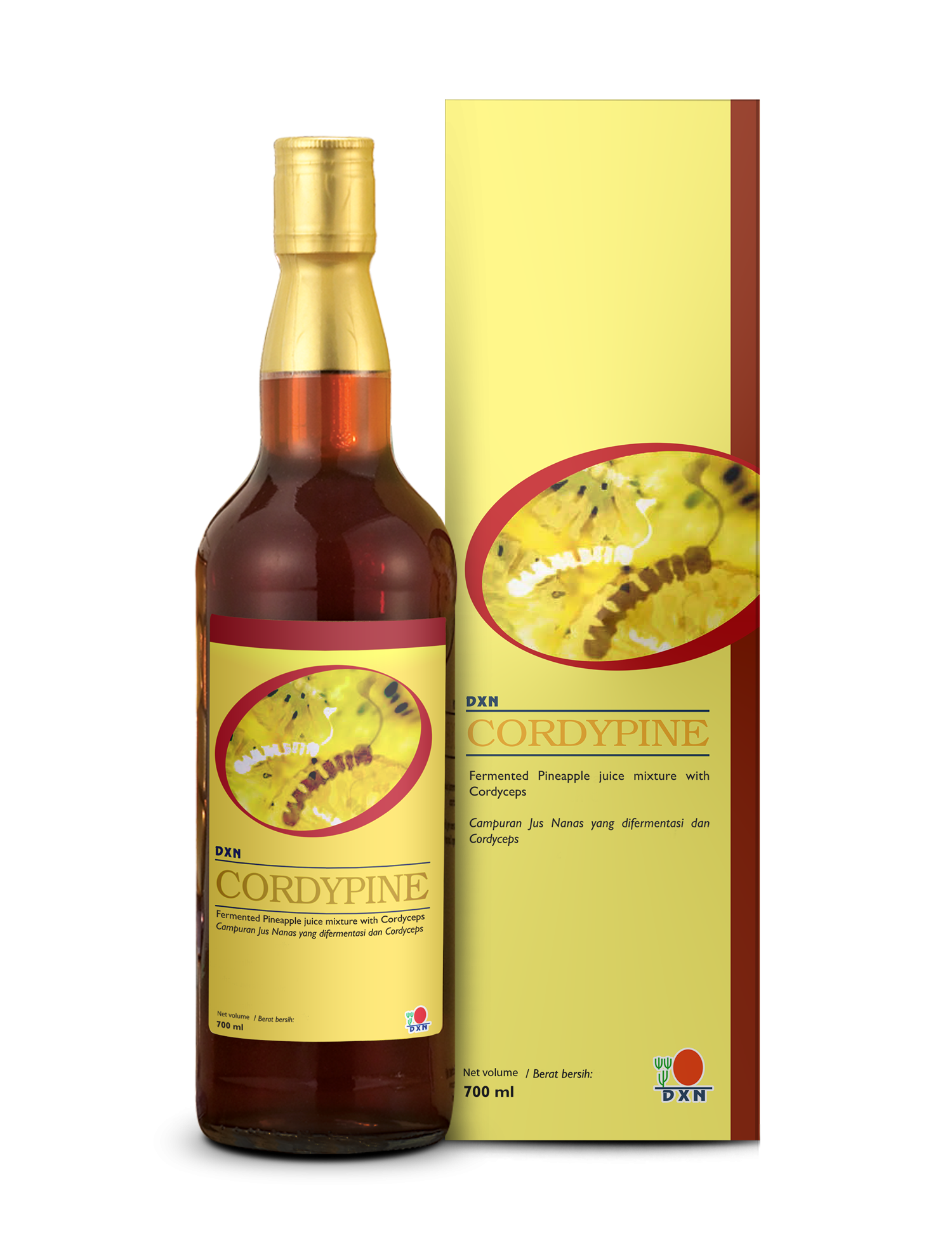 CORDYPINE ΕΝΖΥΜΙΚΟ ΠΟΤΟ