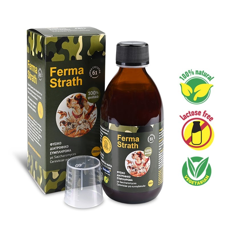 Ferma-Strath Σιρόπι σε φιάλη 250ml