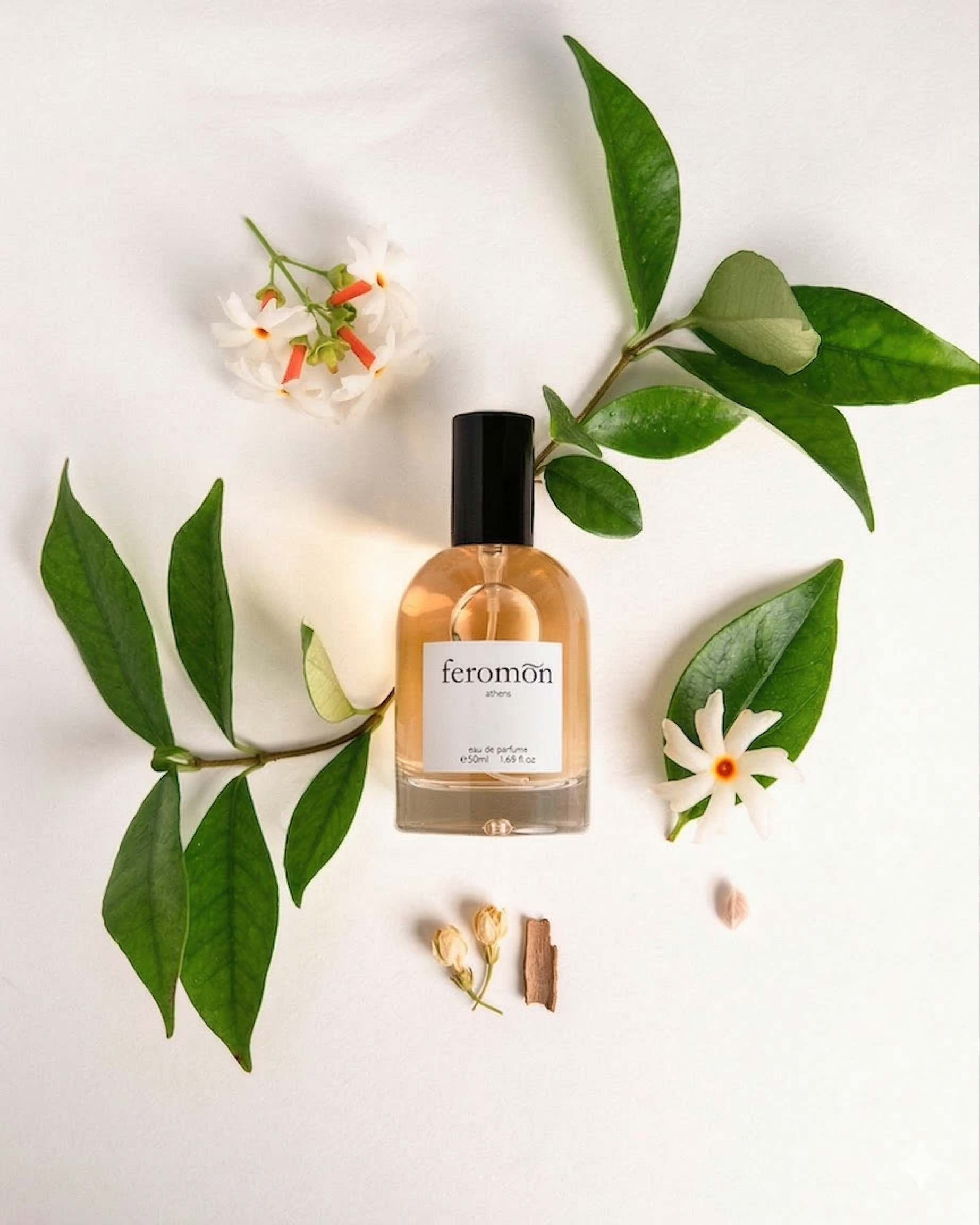 MIDNIGHT BLOOM No.303 