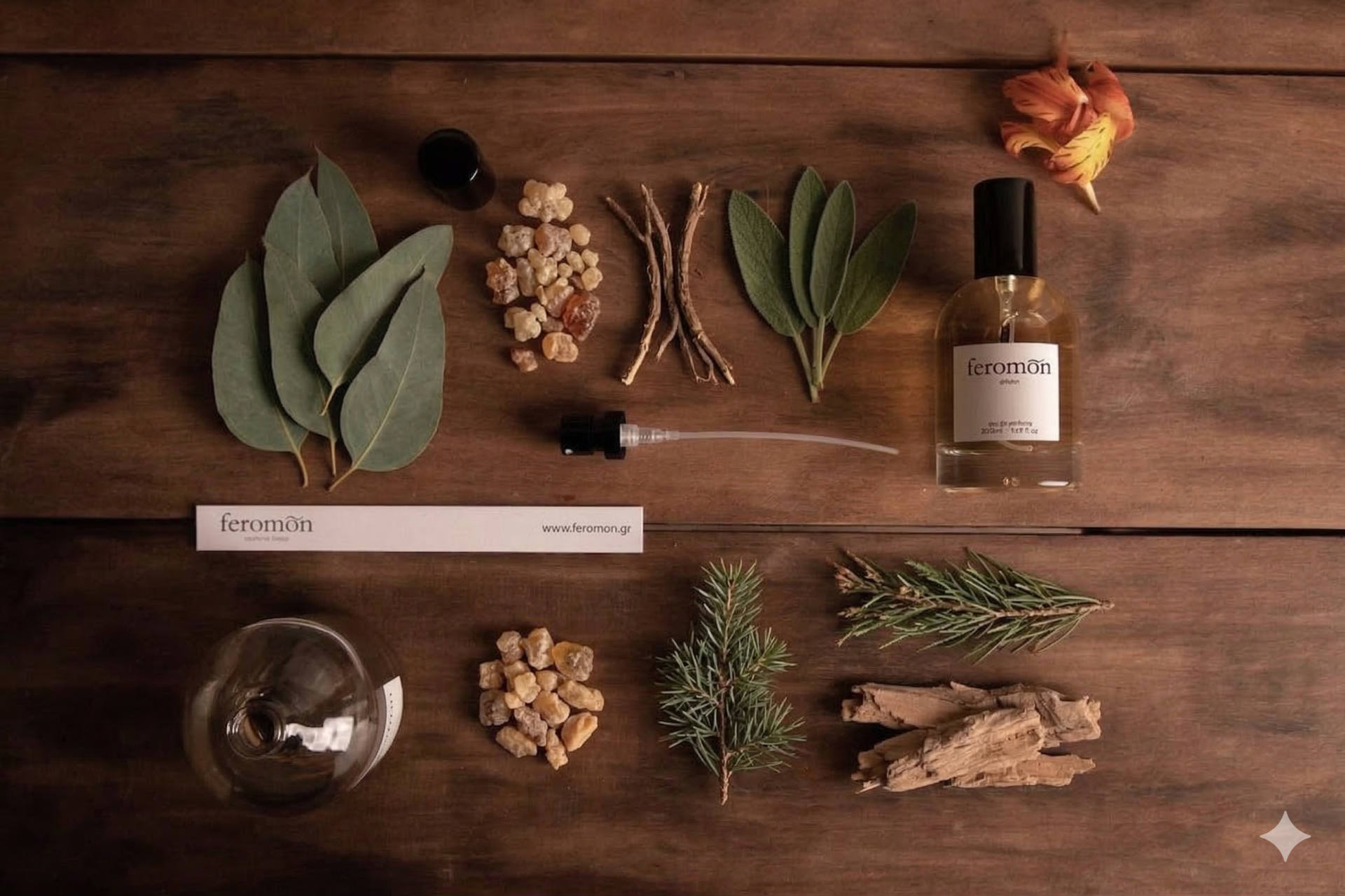  INSPIRED BY BODY KOUROS (TYPE) No.324