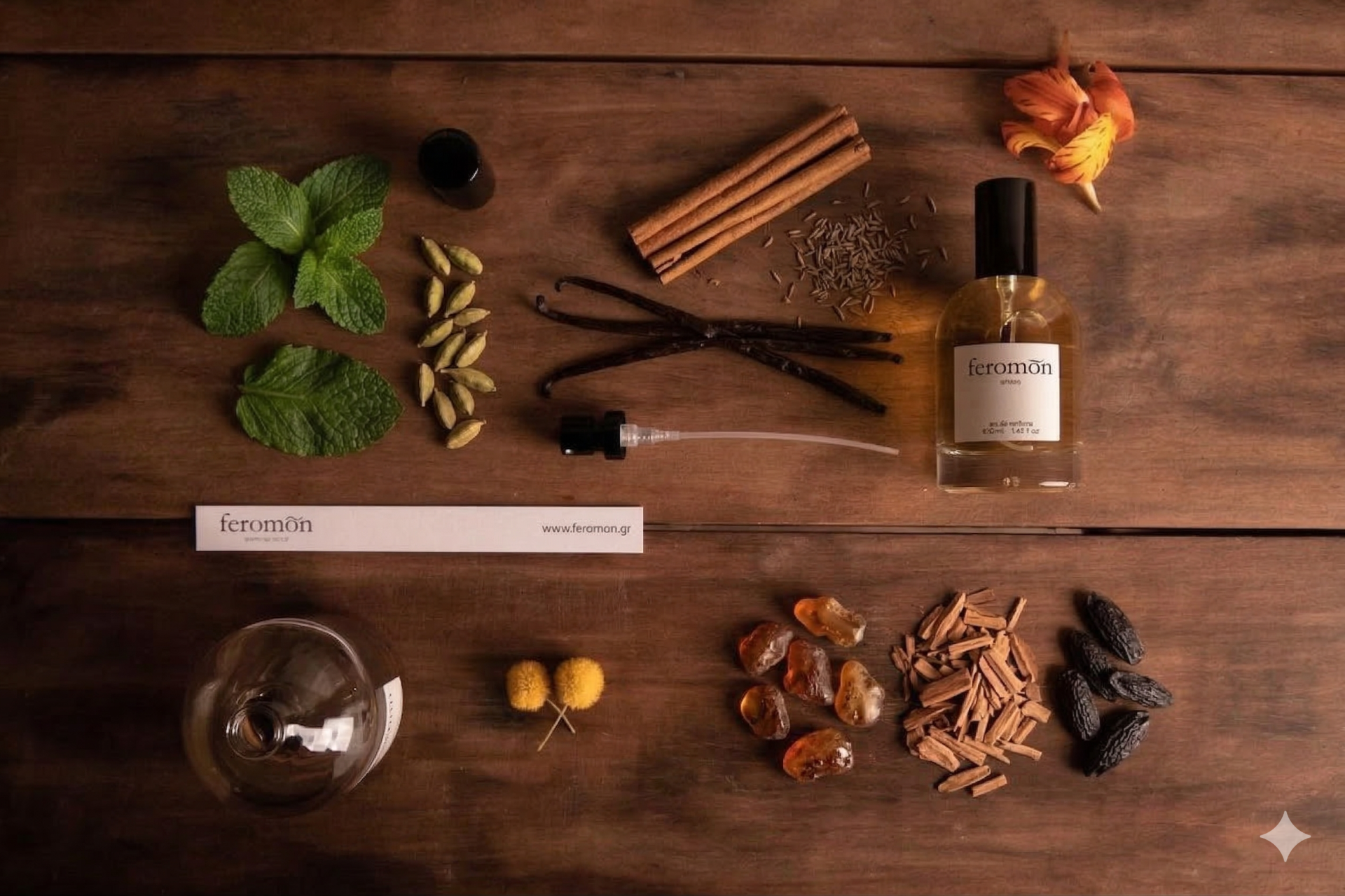  INSPIRED BY ARANCIA DI CAPRI (TYPE) No.341