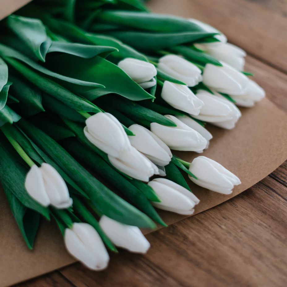 Tulips