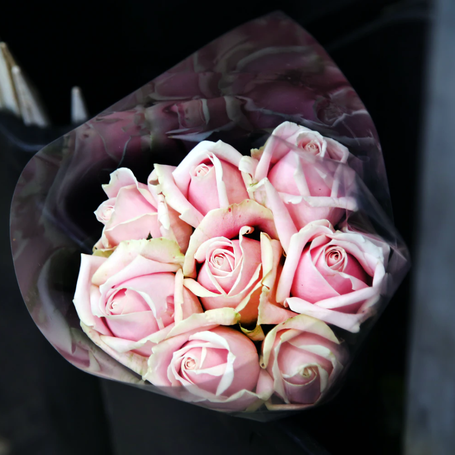 Roses