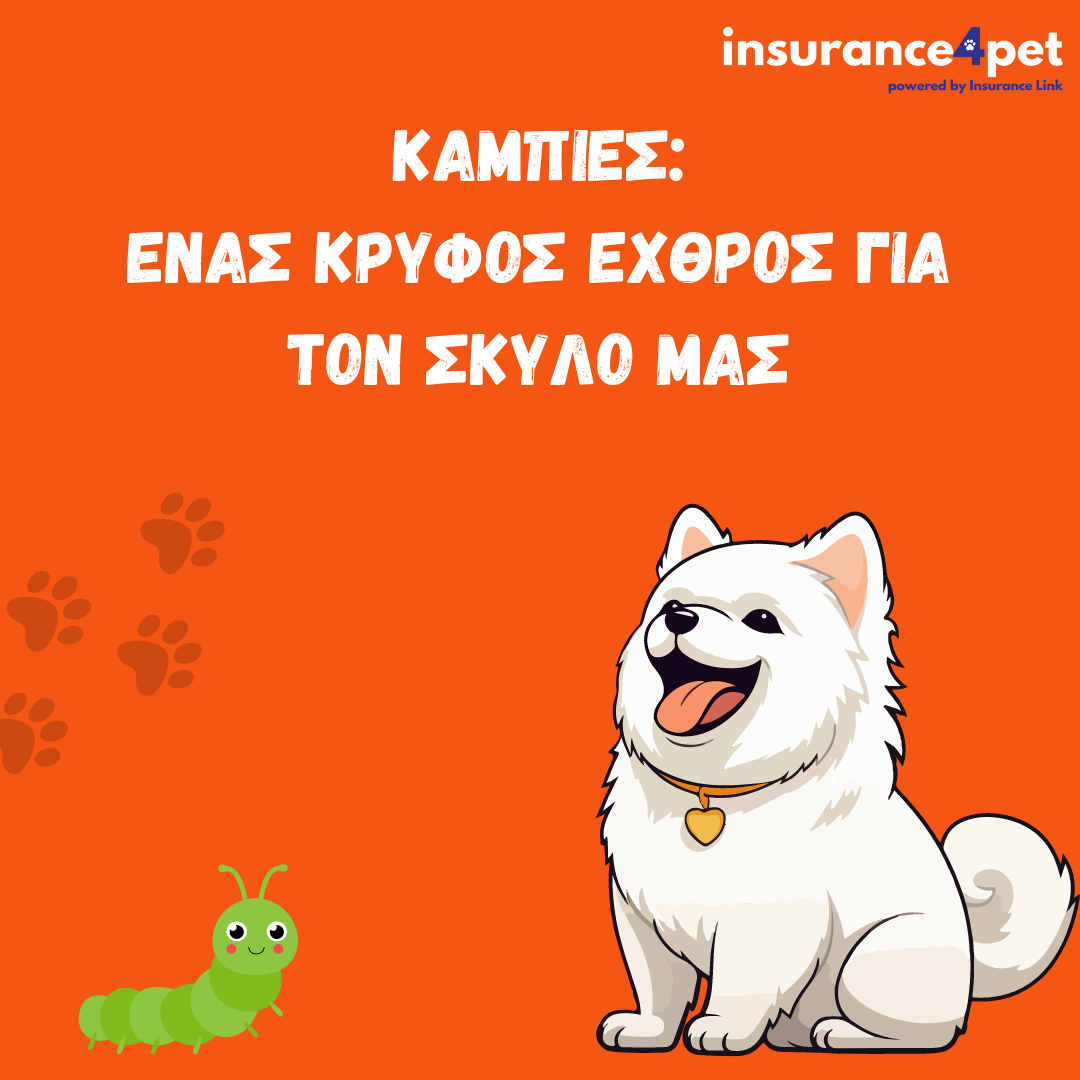 Κάμπιες: Ένας κρυφός εχθρός για τον σκύλο μας