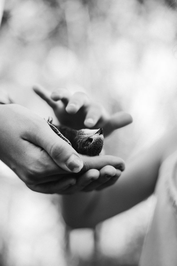 helping-a-little-bird-to-fly