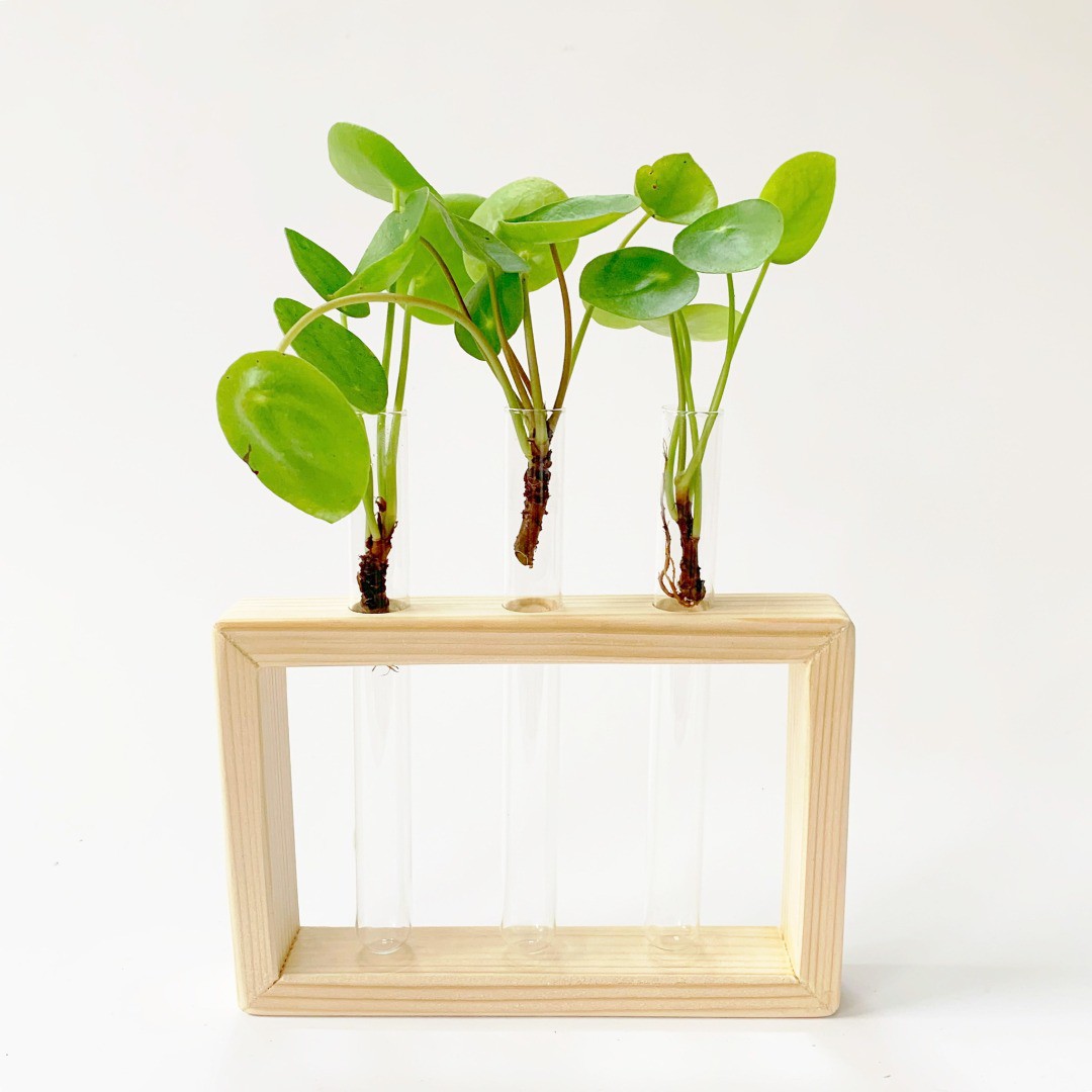 Wooden cutting holder with three glass tubes.