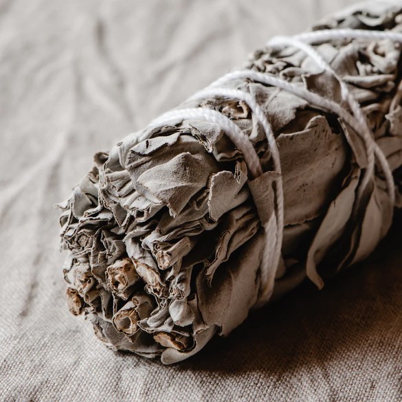 California white sage