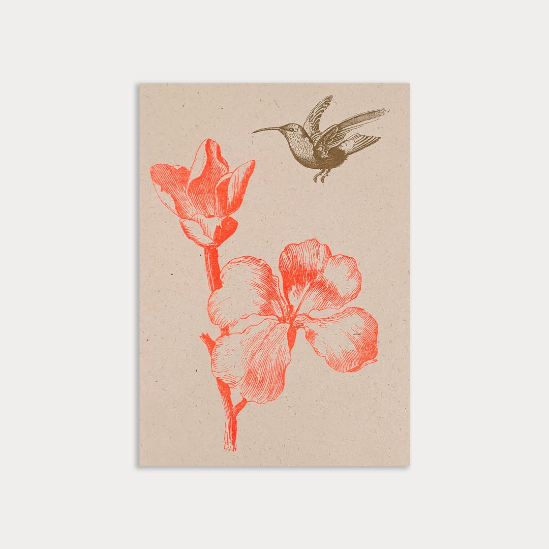 Postcard / flower with hummingbird / eco paper / vegetable coloring
