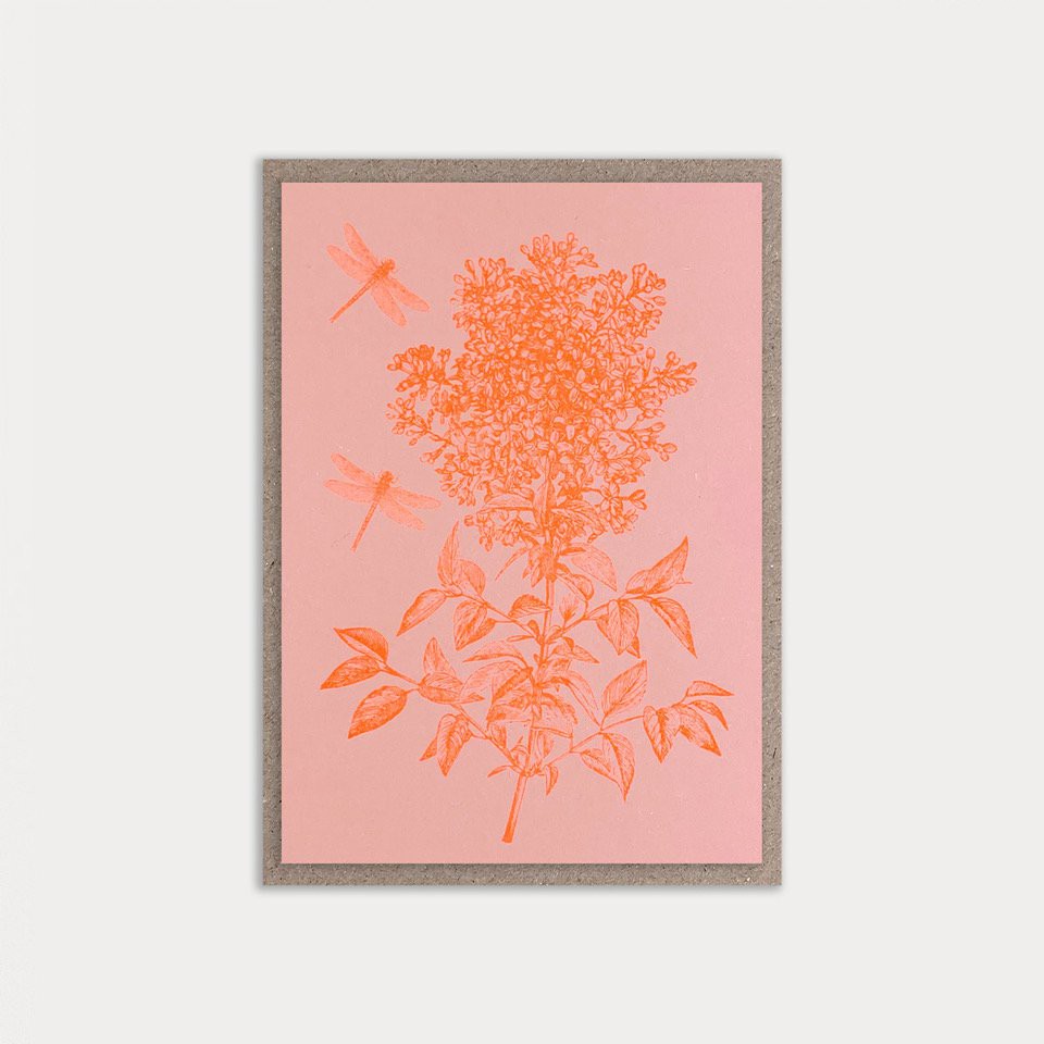 Card / Dragonfly / Vintage Rose / A7