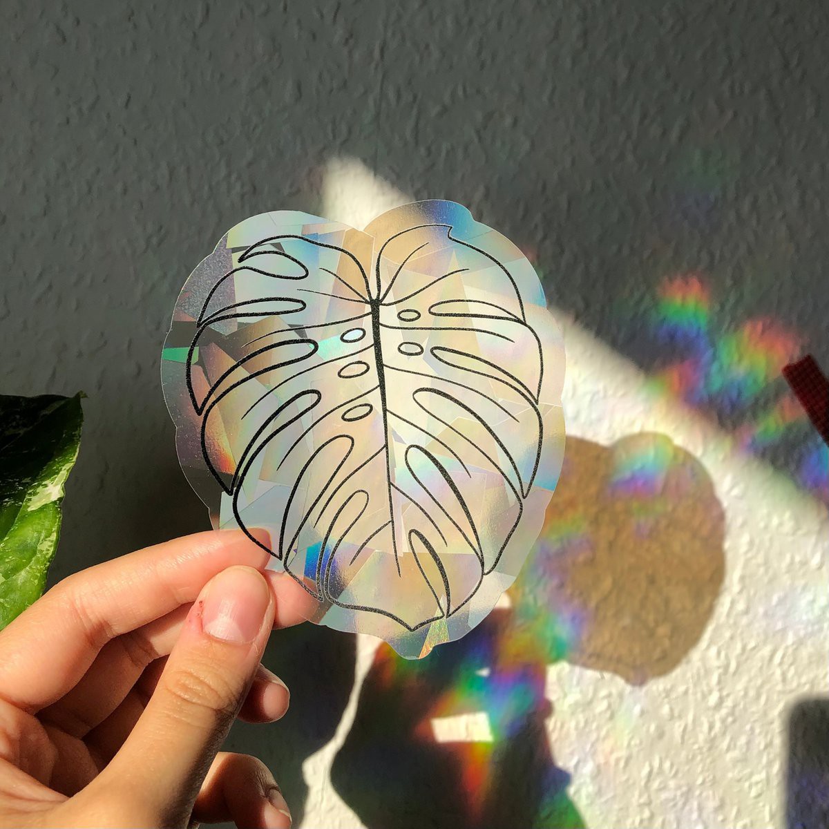 Sun Catcher Sticker