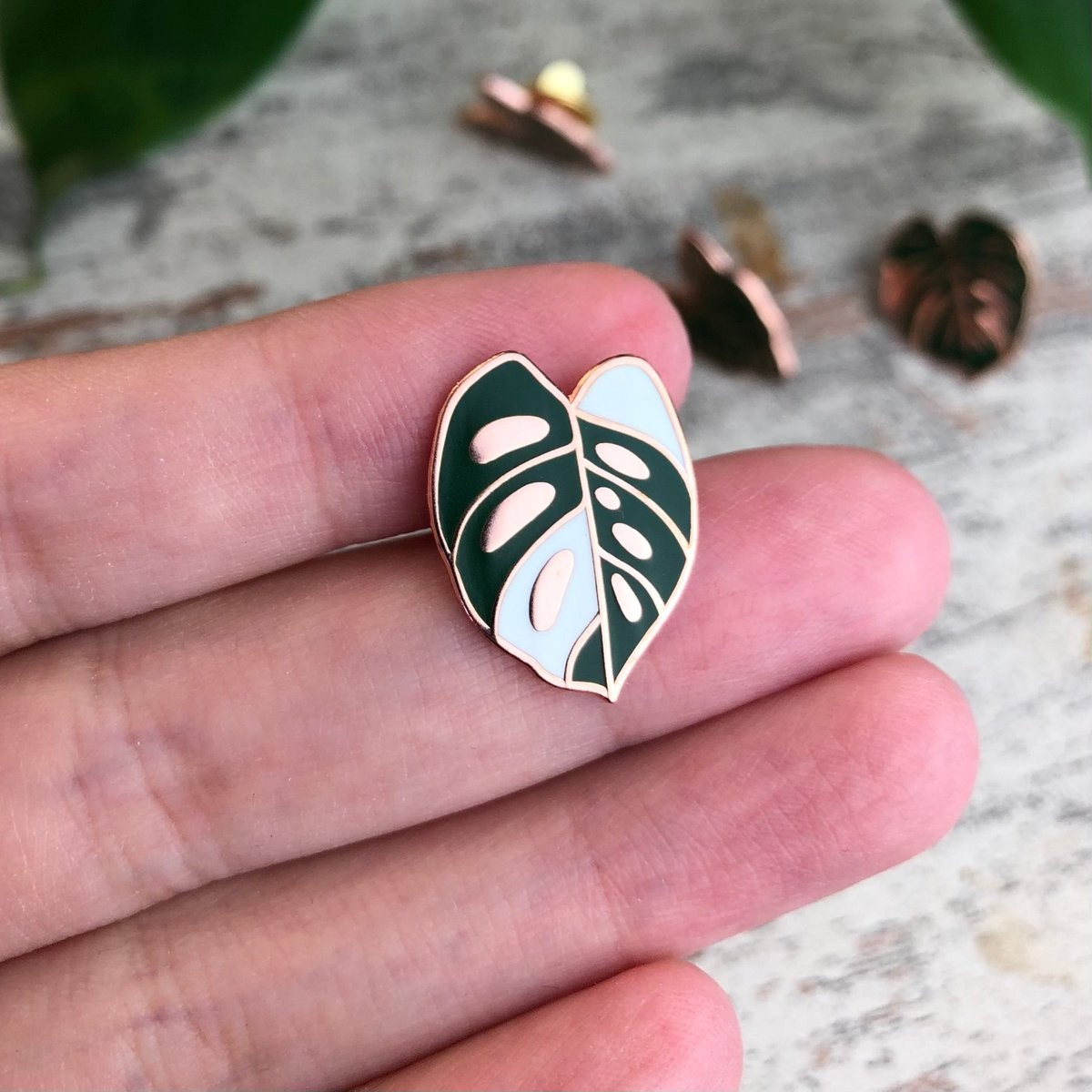 Hard Enamel Pin - Monstera adansonii variegata leaf