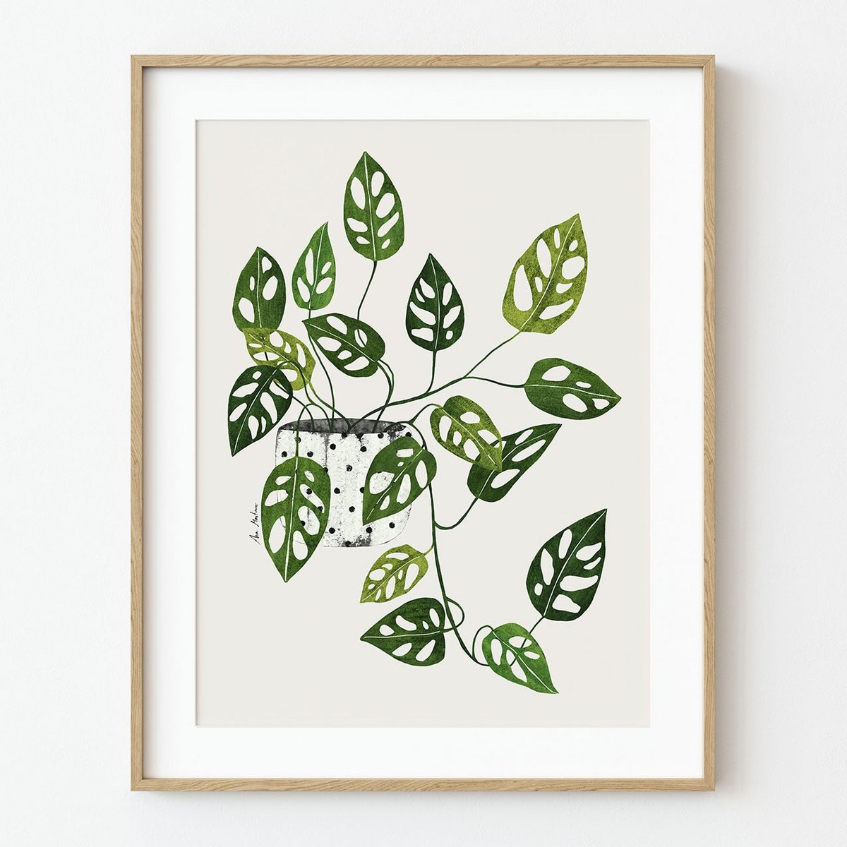 Monstera Obliqua Art Print A4