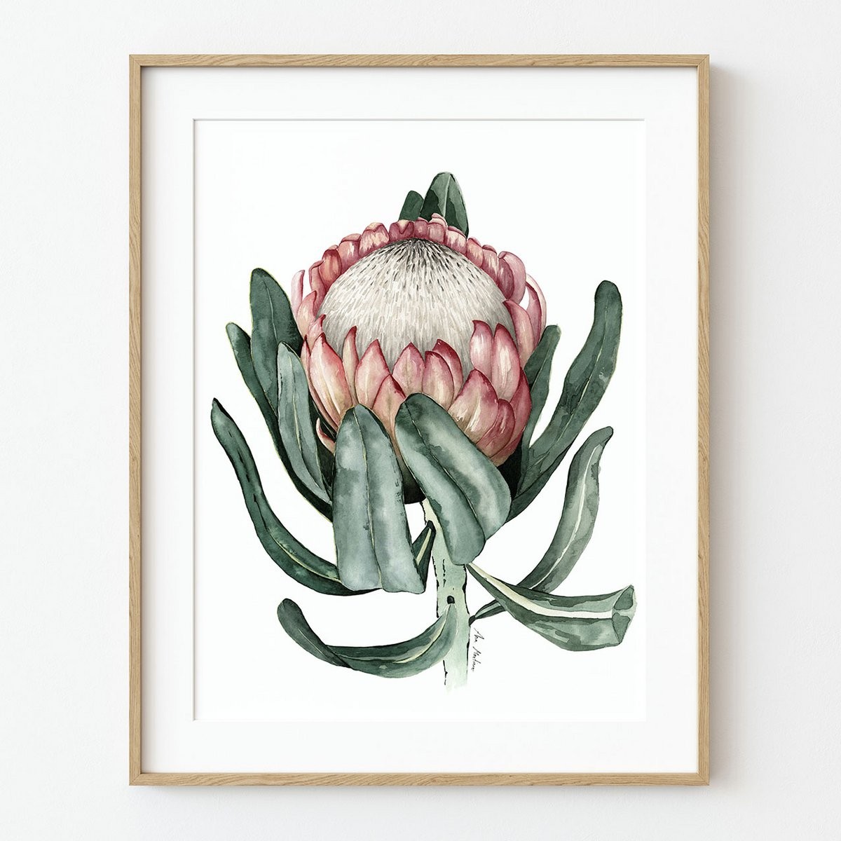 Prothea Flower Art Print A4