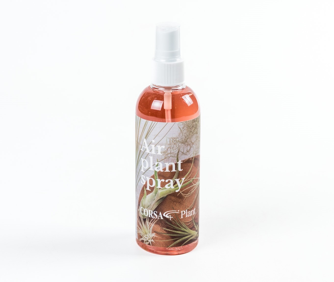 Tillandsia care spray