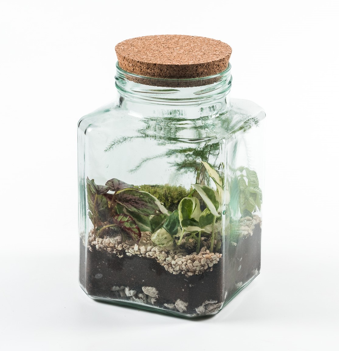 Terrarium Richmond Large-3fdfeb