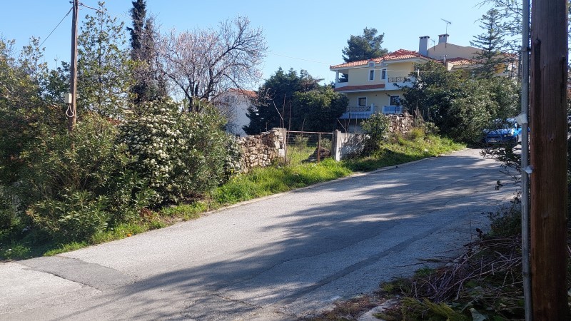 media-image