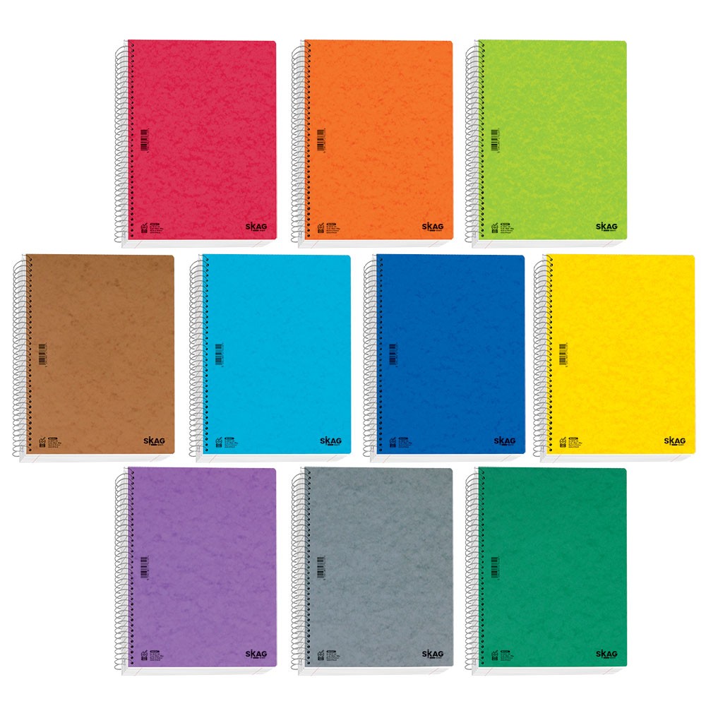 ΘΕΜΑΤΙΚΑ SKAG (BASIC) A4 2Θ 80GR ΝΟ8012