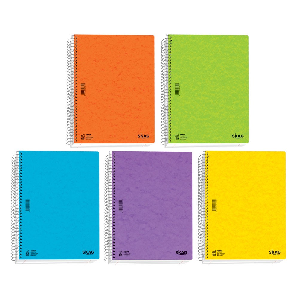 ΘΕΜΑΤΙΚΑ SKAG (BASIC) A4 5Θ 80GR ΝΟ8015