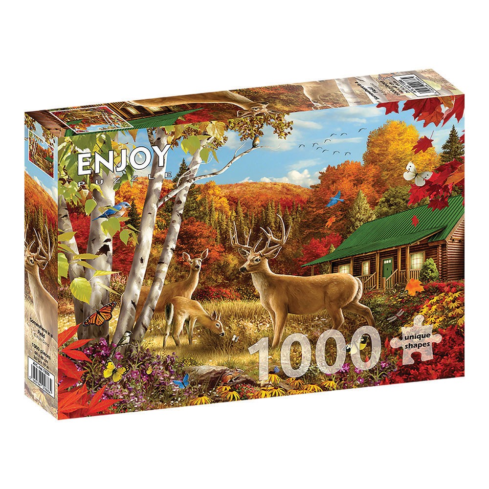 ENJOY -ΠΑΖΛ LANDSCAPES ΚΑΠΟΥ ΣΕ ΕΝΑ ΧΩΡΑΦΙ  1000 ΤΕΜ Νο 1886