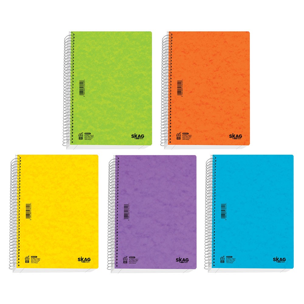 ΘΕΜΑΤΙΚΑ SKAG (BASIC) 17Χ25 5Θ 8ΟGR ΝΟ8005