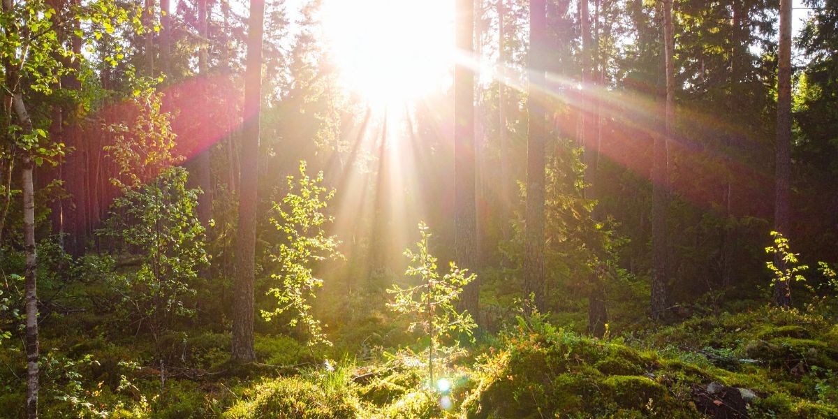 Η Αφθονία δεν είναι θέμα Τύχης - είναι θέμα Στάσης