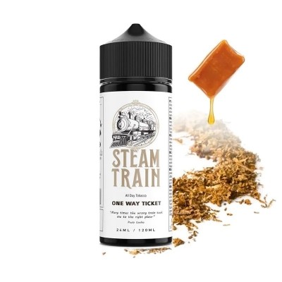 One Way Ticket 24/120ML by Steam Train-072a9b