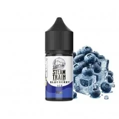 Steam Train Disposable Edition Blueberry Ice 10/30ml-05da2b