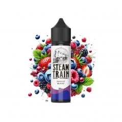 Steam Train Disposable Edition Forest Berry 20ml/60ml-05ca55