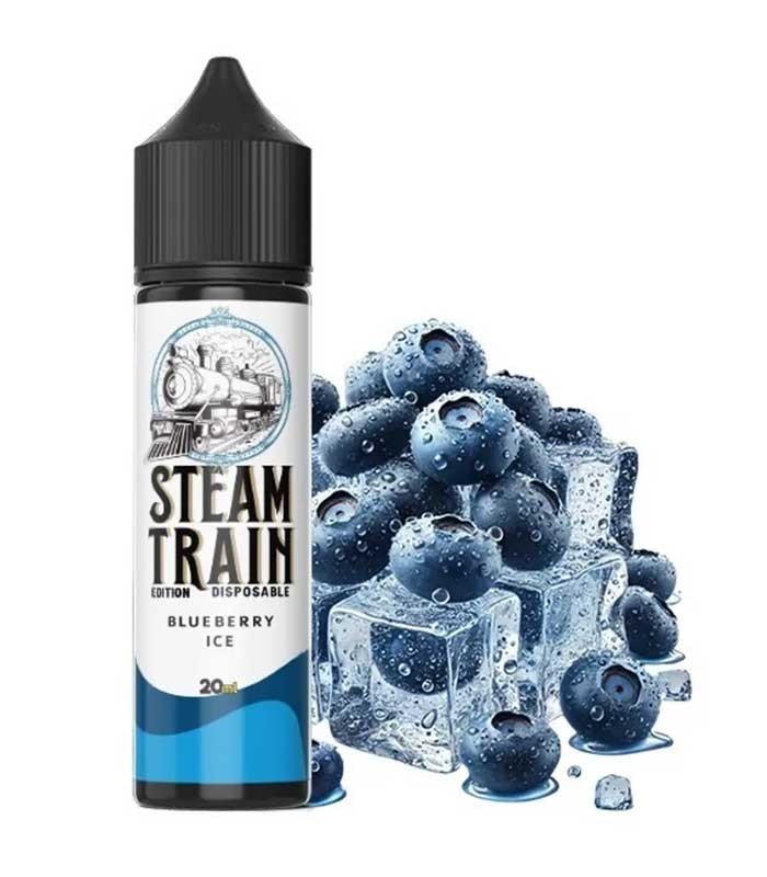 Steam Train Disposable Edition Blueberry Ice 20ml/60ml-f82ed2