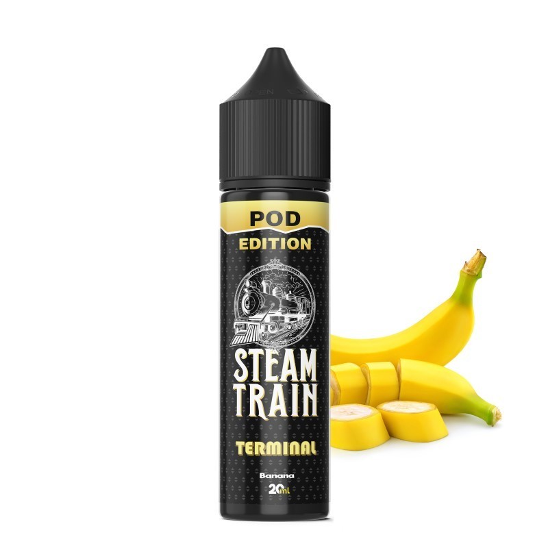 Steam Train POD Edition Terminal 20ml/60ml-e87d2e