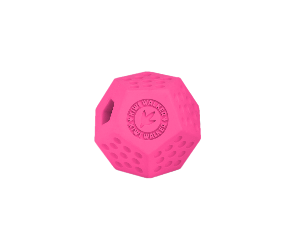 KIWI WALKER LET'S PLAY! DODECABALL (MAXI) 16,5cm Pink