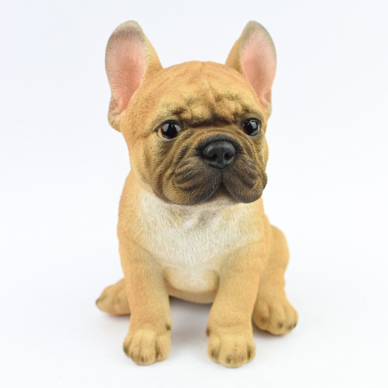 Σκύλος Γαλλικό Μπουλντόγκ (French Bulldog)